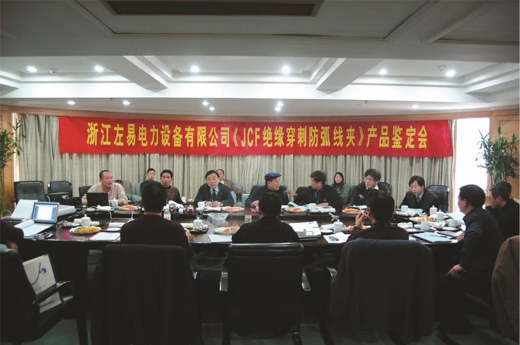  2007自主研发了JCF系列穿刺防弧线夹，并通过浙江省电力工业局组织的省级新产品鉴定