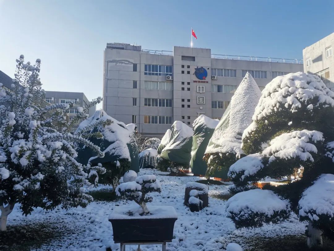  瑞雪兆丰年，迎来这份冬日的礼遇！