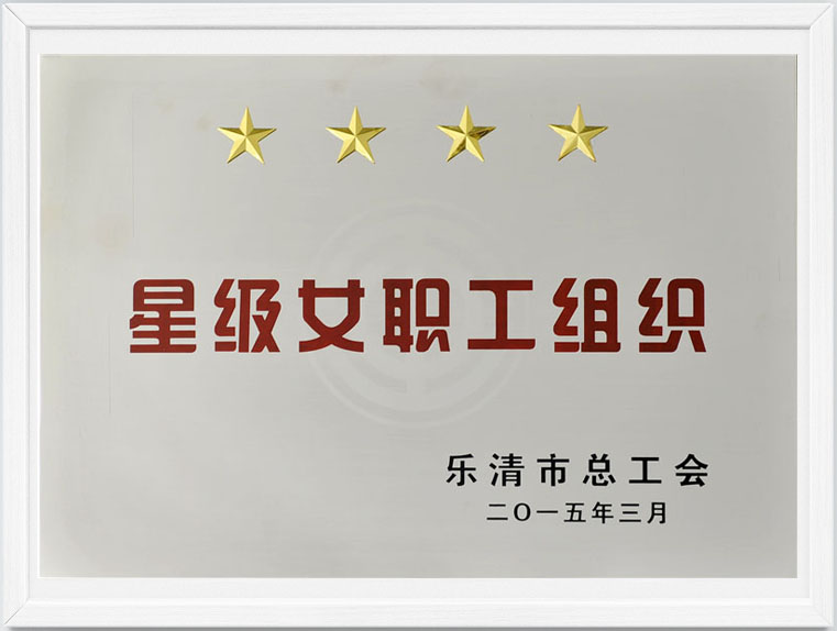 中国左易电力设备