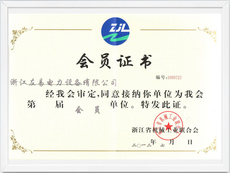 中国左易电力设备