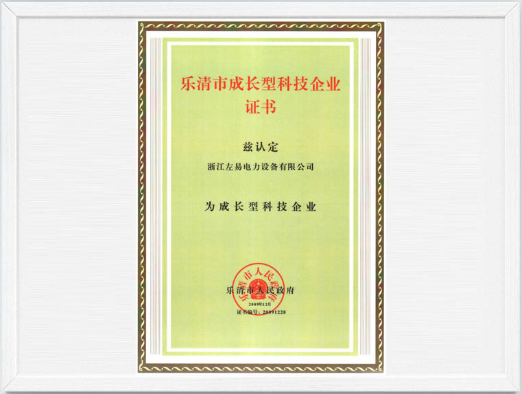 中国左易电力设备