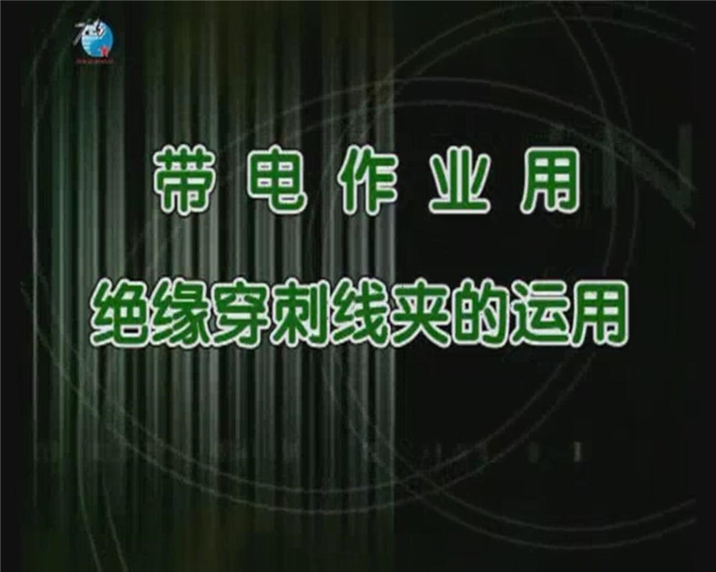 中国左易电力设备