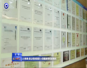 中国左易电力设备