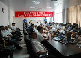 中国左易电力设备