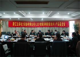 中国左易电力设备