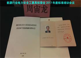 中国左易电力设备