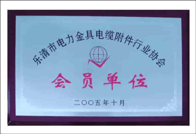 中国左易电力设备